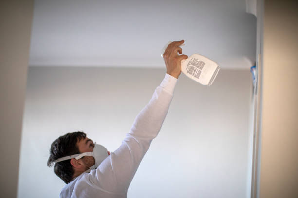 Best Certified Mold Removal  in Honokaa, HI